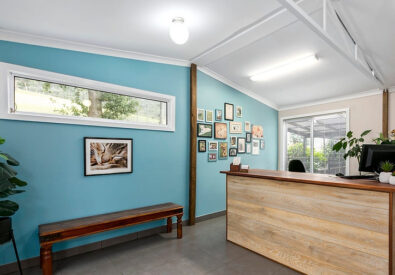 A Dogs Domain and Ca...