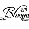 Petal Blooms Flowers