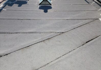 Paragonchimneyandroo...