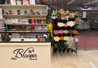 Petal Blooms Flowers