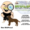 Mold Detective