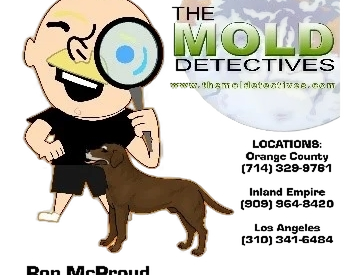 Mold Detective