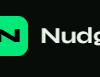 AI Cyber Defense and Privacy Shield | Nudge