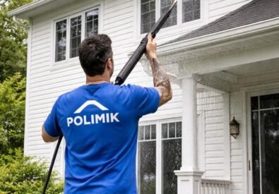 Polimik