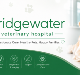 Bridgewater Veterina...