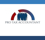 Pro Tax Accountant